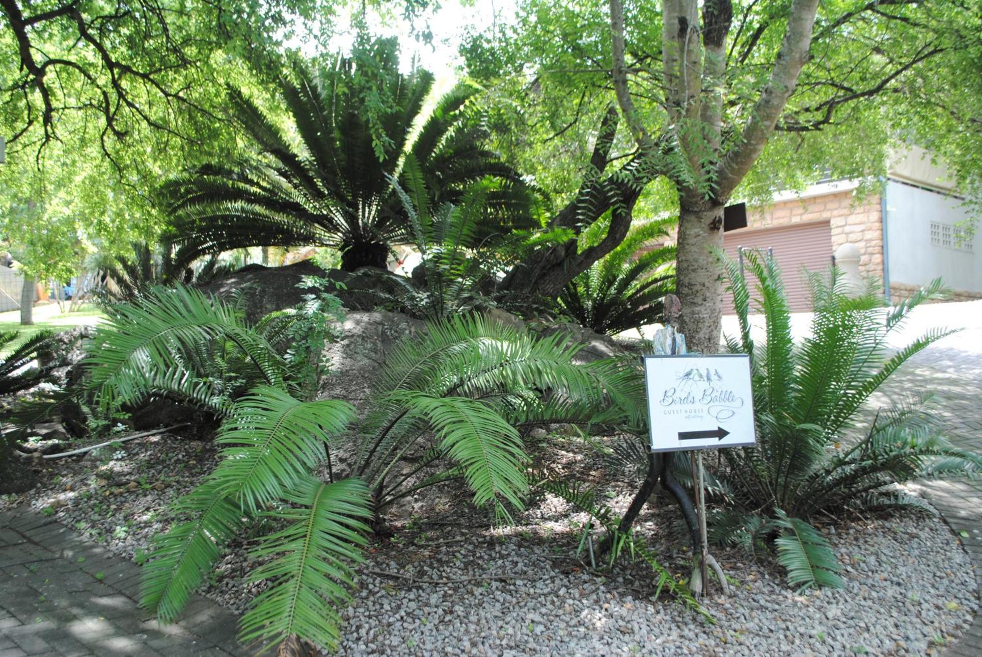 Hotel Birds Babble Self Catering à Mbombela Extérieur photo